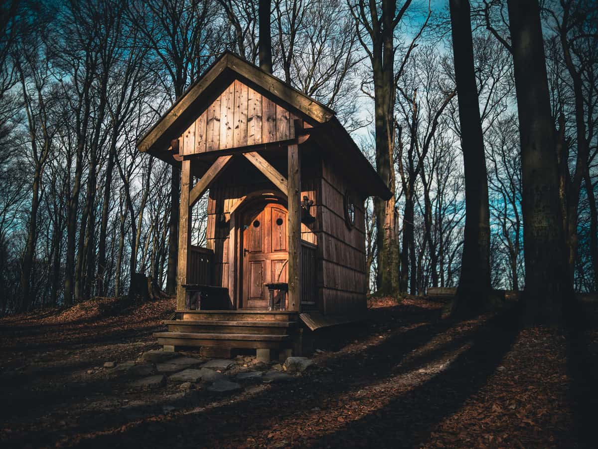 A small wooden cabin among trees