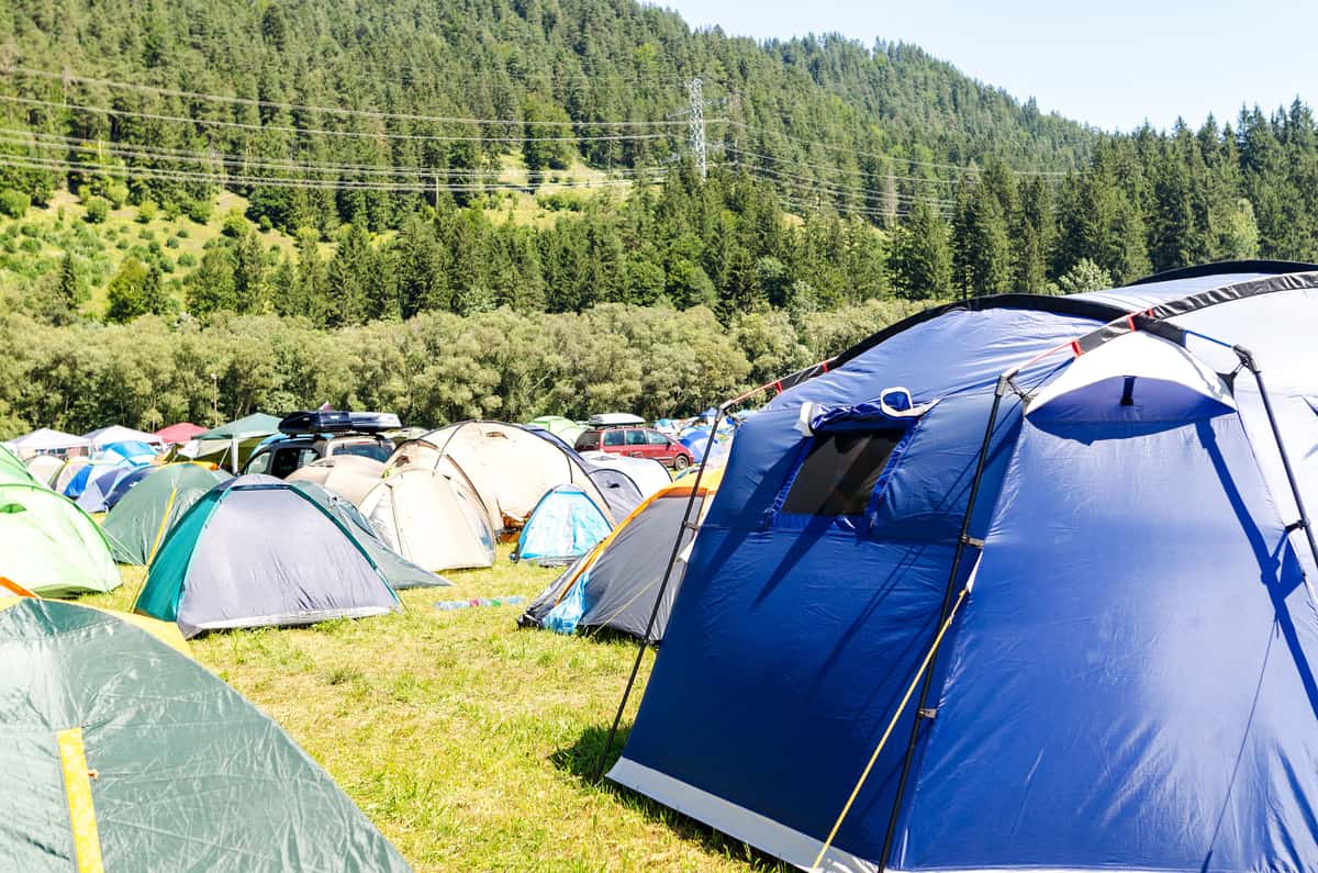 Tents pitched among trees in daylight